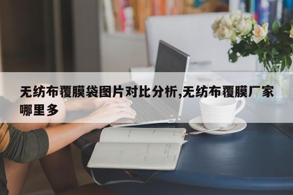 无纺布覆膜袋图片对比分析,无纺布覆膜厂家哪里多