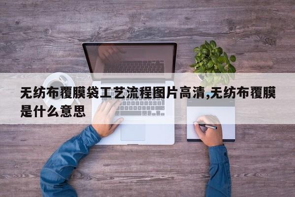 无纺布覆膜袋工艺流程图片高清,无纺布覆膜是什么意思
