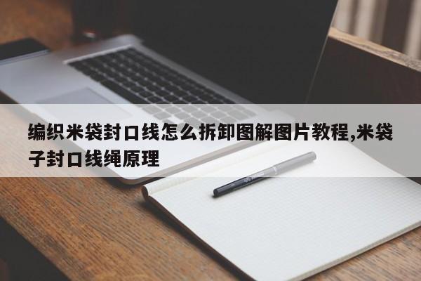 编织米袋封口线怎么拆卸图解图片教程,米袋子封口线绳原理