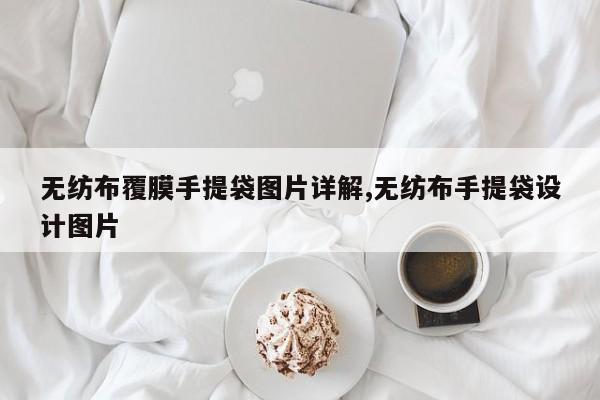 无纺布覆膜手提袋图片详解,无纺布手提袋设计图片
