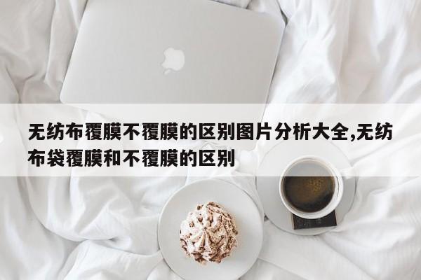 无纺布覆膜不覆膜的区别图片分析大全,无纺布袋覆膜和不覆膜的区别