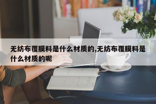 无纺布覆膜料是什么材质的,无纺布覆膜料是什么材质的呢