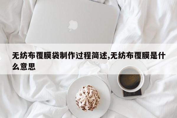 无纺布覆膜袋制作过程简述,无纺布覆膜是什么意思