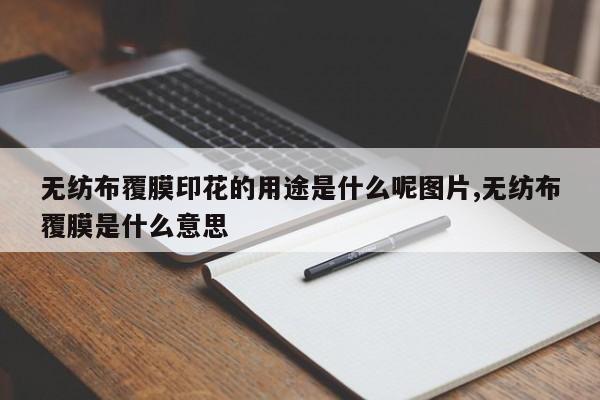无纺布覆膜印花的用途是什么呢图片,无纺布覆膜是什么意思