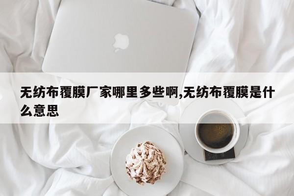 无纺布覆膜厂家哪里多些啊,无纺布覆膜是什么意思