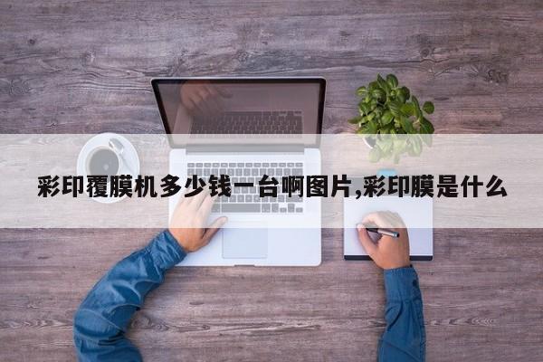 彩印覆膜机多少钱一台啊图片,彩印膜是什么